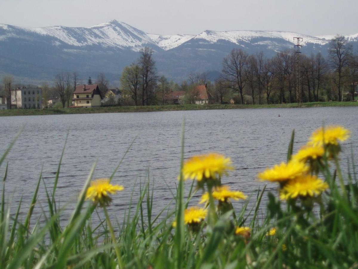 Agroturystyka Aura Kostrzyca المظهر الخارجي الصورة