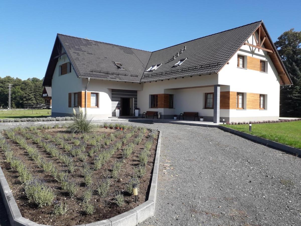 Agroturystyka Aura Kostrzyca المظهر الخارجي الصورة