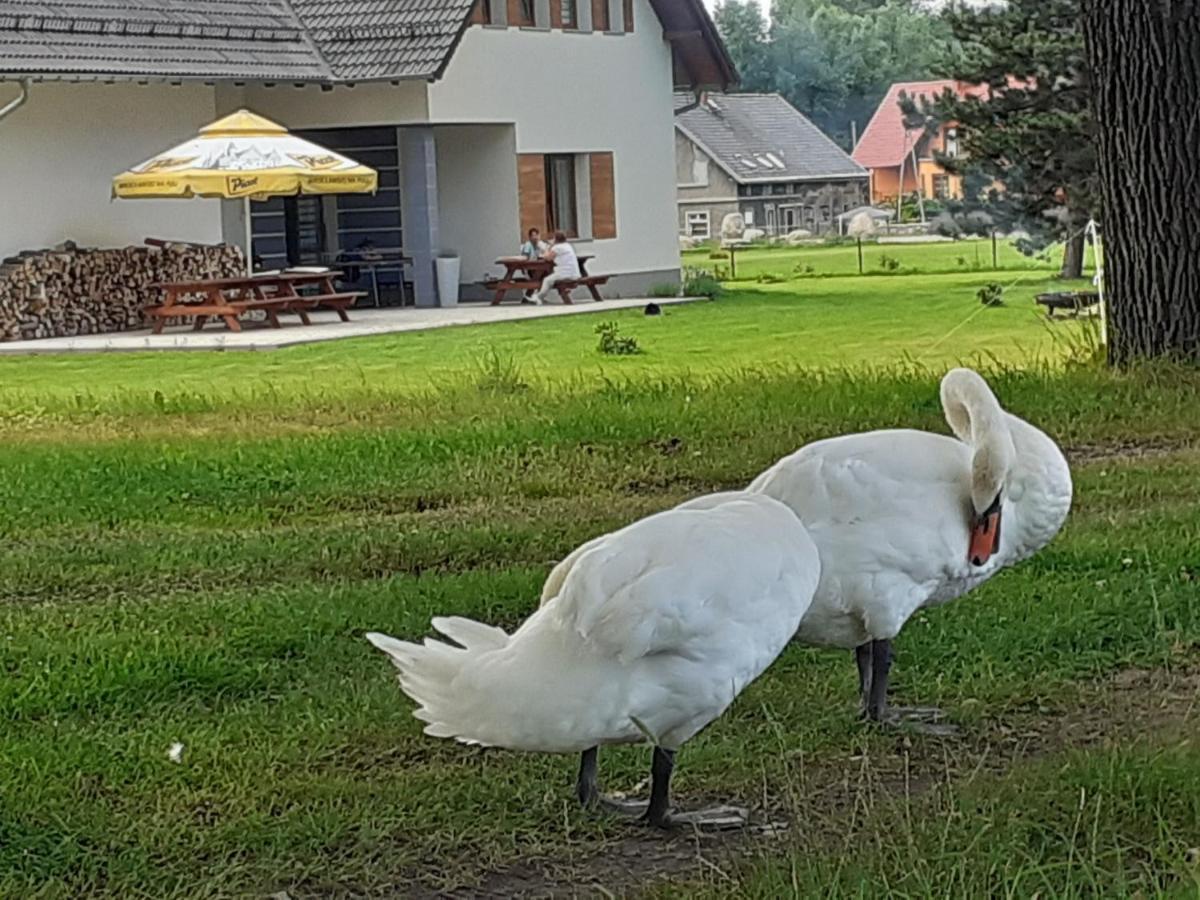 Agroturystyka Aura Kostrzyca المظهر الخارجي الصورة