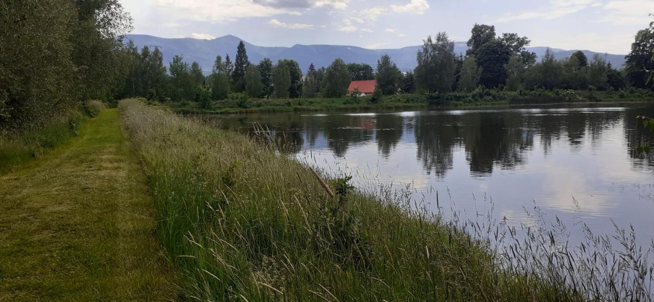 Agroturystyka Aura Kostrzyca المظهر الخارجي الصورة