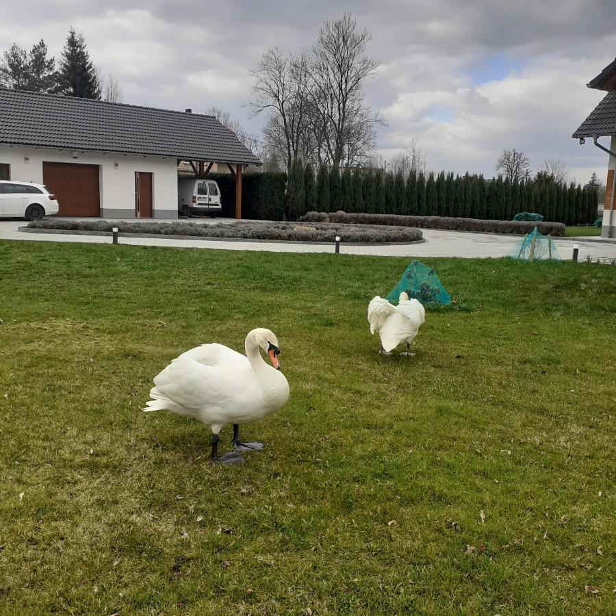 Agroturystyka Aura Kostrzyca المظهر الخارجي الصورة