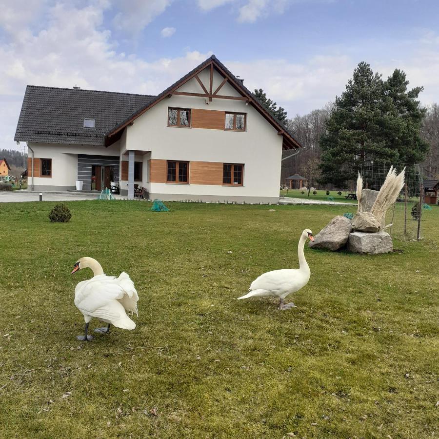 Agroturystyka Aura Kostrzyca المظهر الخارجي الصورة