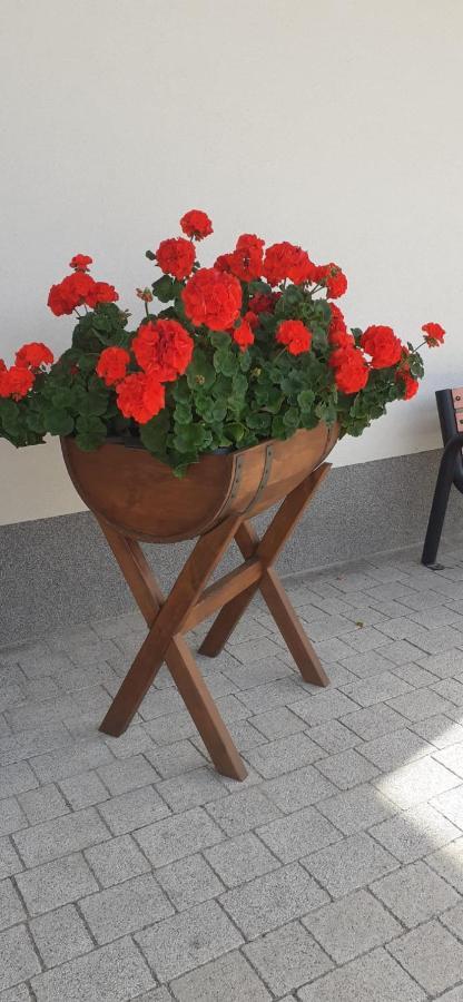 Agroturystyka Aura Kostrzyca المظهر الخارجي الصورة