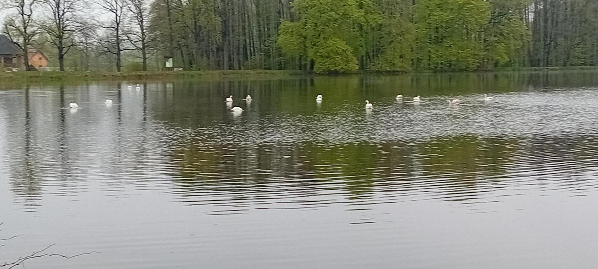 Agroturystyka Aura Kostrzyca المظهر الخارجي الصورة
